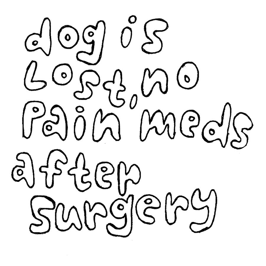 dog is lost no pain meds after surgery